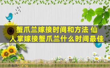 蟹爪兰嫁接时间和方法 仙人掌嫁接蟹爪兰什么时间最佳